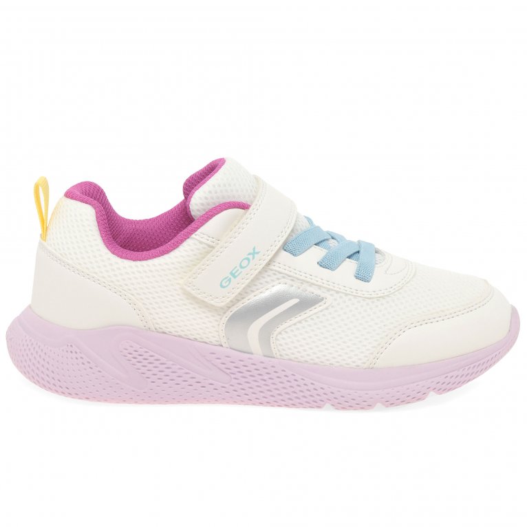 Charles Clinkard Geox Junior Sprintye Girls Sports Trainers