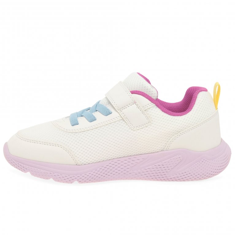 Charles Clinkard Geox Junior Sprintye Girls Sports Trainers