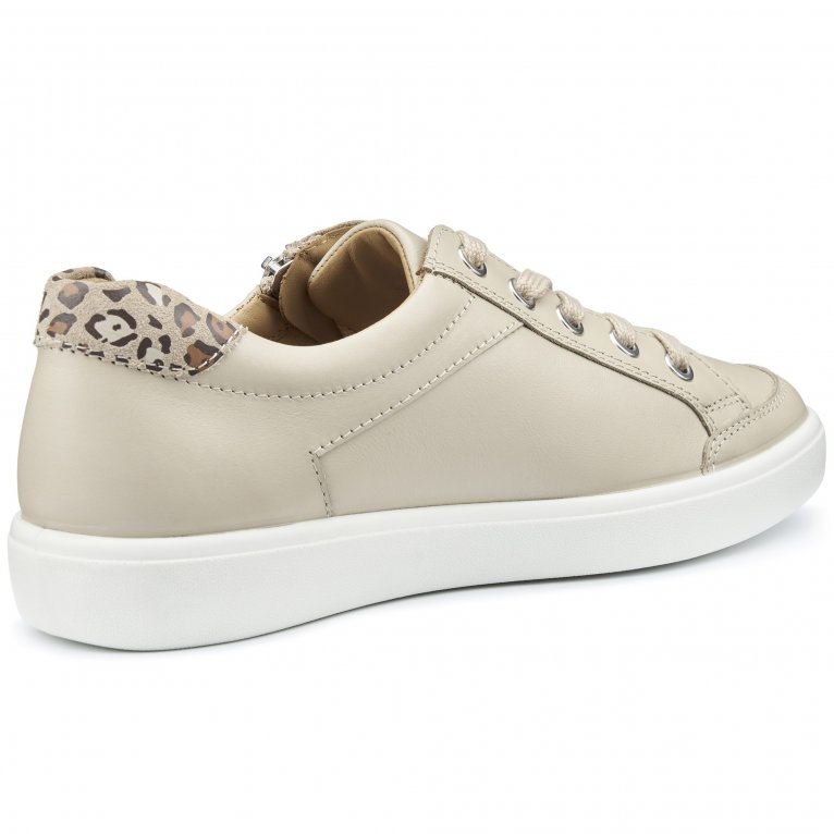 Charles Clinkard Hotter Chase II Womens Casual Trainers