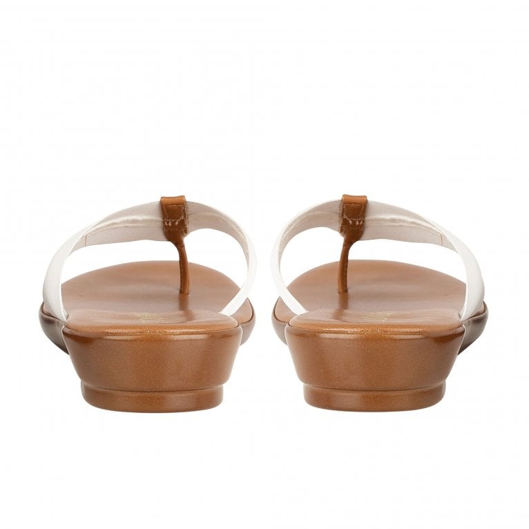 Charles Clinkard Lotus Hera Womens Toe Post Sandals