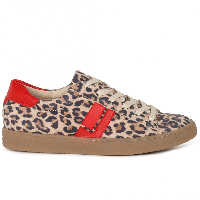 Charles Clinkard Paul Green Rosalie Women's Trainers