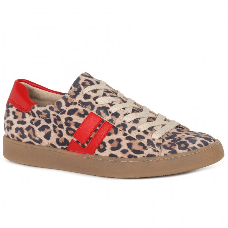 charles clinkard Paul Green Rosalie Women's Trainers