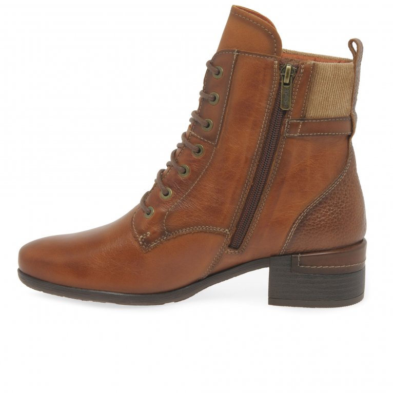 Charles Clinkard Pikolinos Marcia Womens Ankle Boots
