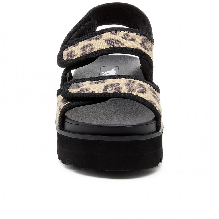 Charles Clinkard Rocket Dog Balmy Dexter Womens Sandals