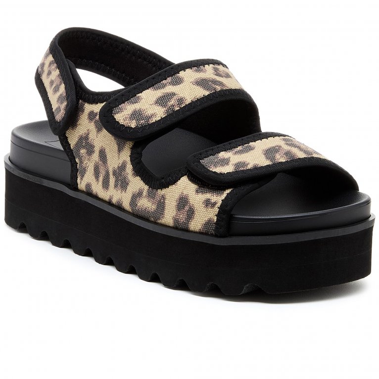 charles clinkard Rocket Dog Balmy Dexter Womens Sandals
