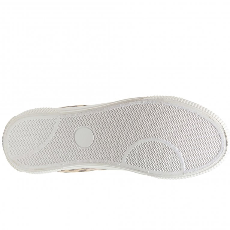 Charles Clinkard Rocket Dog Cheery Dexter Womens Trainers