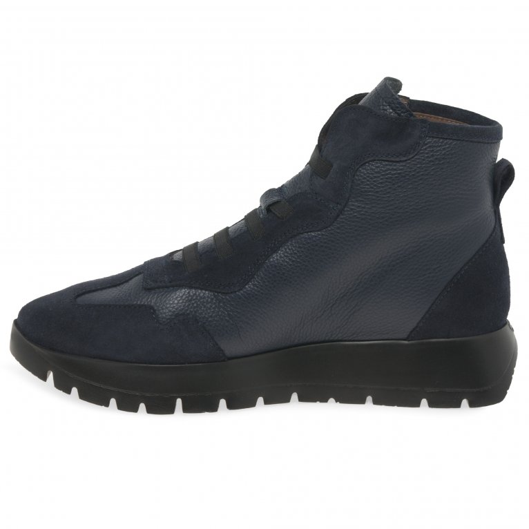 Charles Clinkard Wonders England Womens Sport Ankle Boots