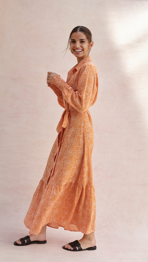 Charli Alina Shirt Dress - Auburn Print Dresses