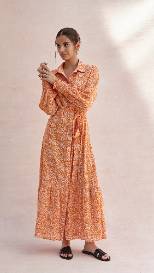 Charli Alina Shirt Dress - Auburn Print Dresses