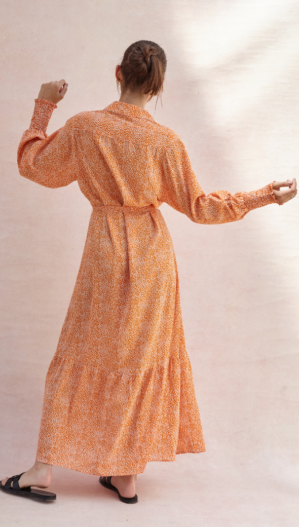 Charli Alina Shirt Dress - Auburn Print Dresses