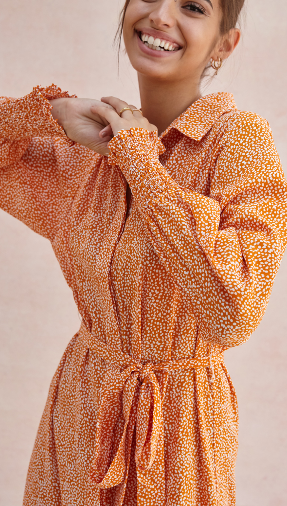charli Alina Shirt Dress - Auburn Print Dresses