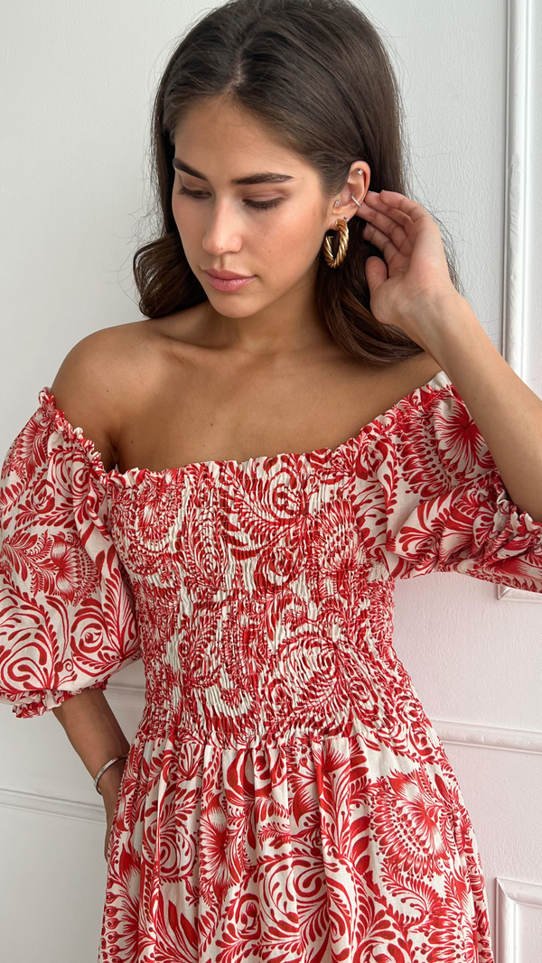 Charli Carina Print Dress - Red Print Dresses