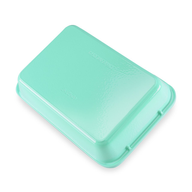 Chasseur Rectangular Roasting Pan 40 X 26cm Peppermint