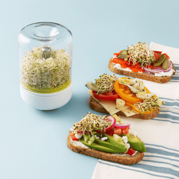 Chef'n Countertop Sprouter