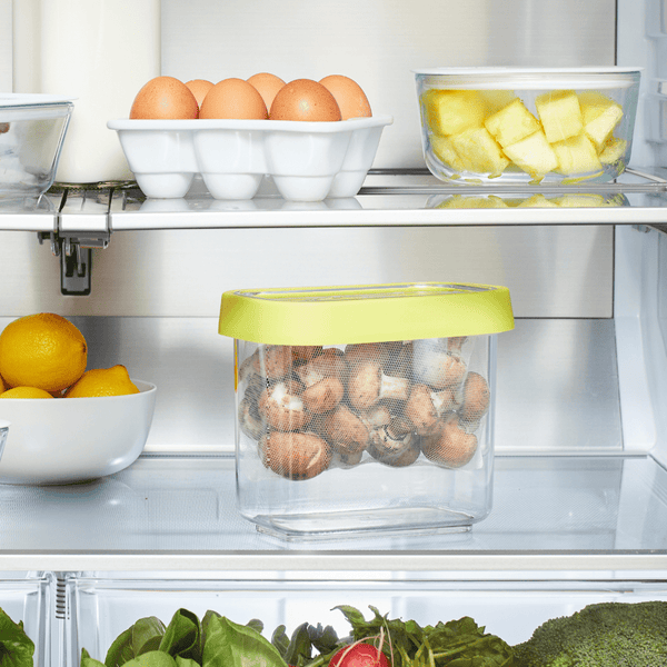 Chef'n Fresh 'n Store Small Produce Storage Container