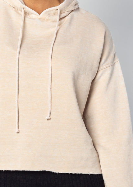 Chicka D Auburn Tigers Campus Hoodie In Oatmeal Oatmeal