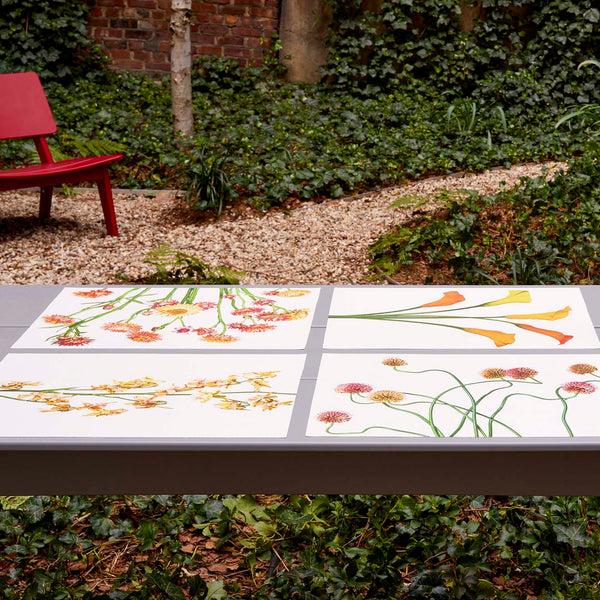 Chilewich Stems Placemats Samples