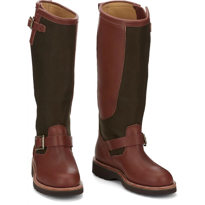 chippewa Sunjo 15" Women'S Snake Boot