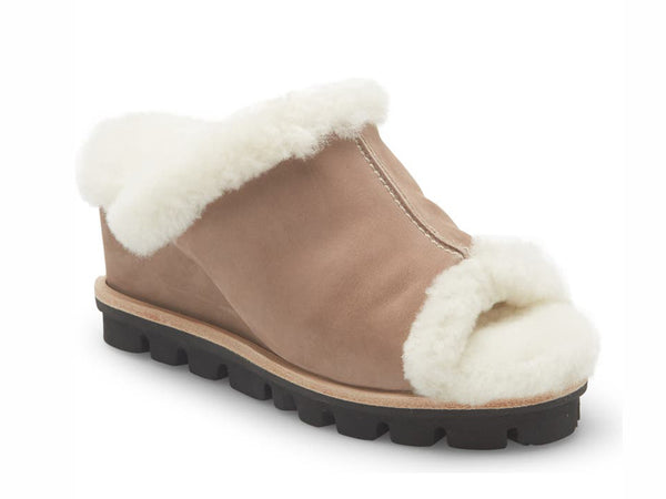 chocolat blu Brayden