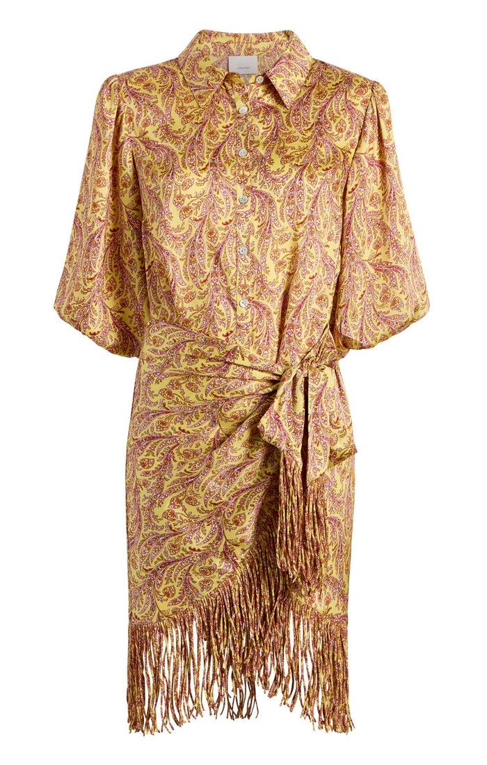 cinq à sept Charming Paisley Kember Dress Lemon Grass Multi