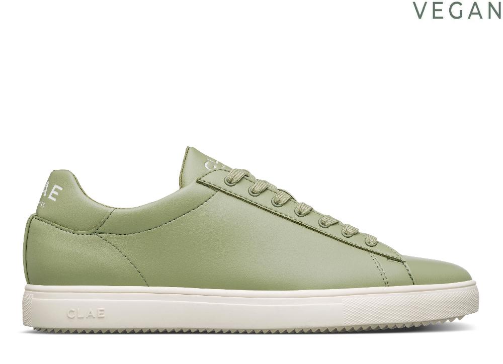 clae BRADLEY CACTUS Sage