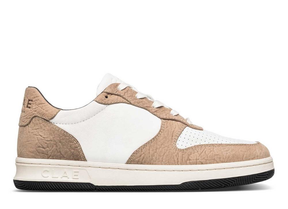 clae MALONE White Starfish Black