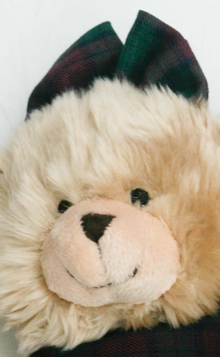 Clan Bella The Teddy Bear