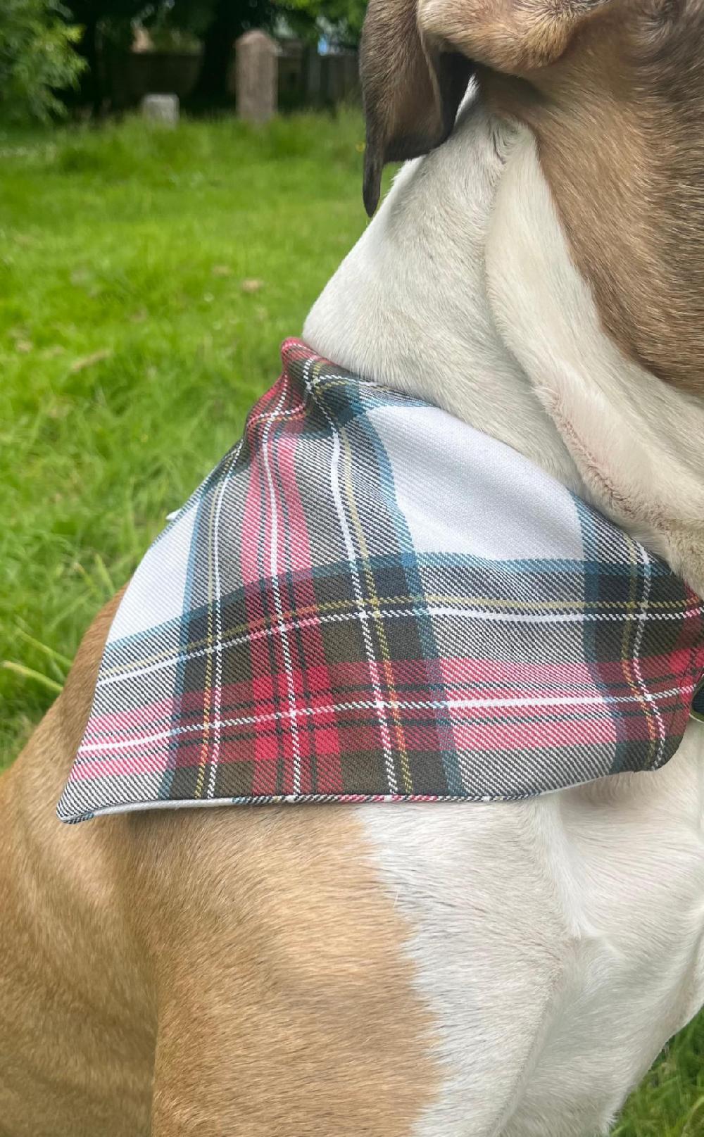 Clan Custom Tartan Dog Bandana