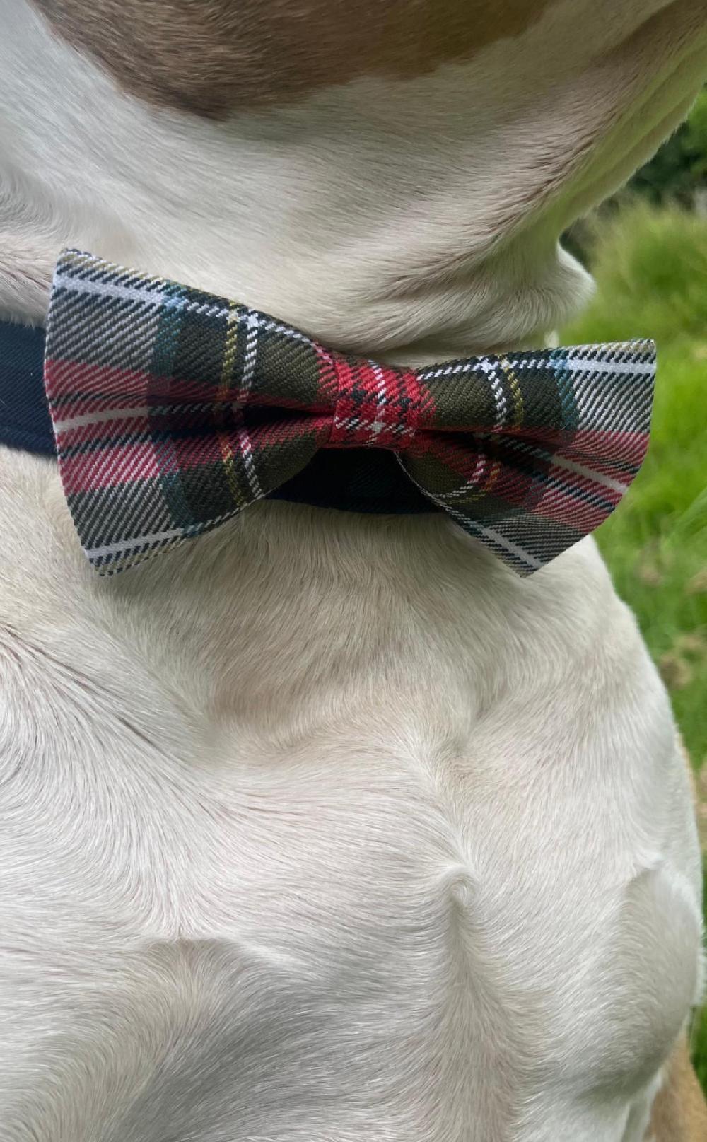 Clan Custom Tartan Dog Bow Tie