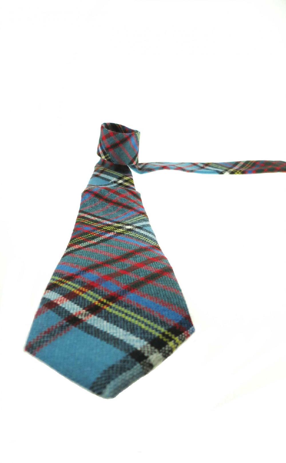 Clan Essential Boy's Tartan Tie