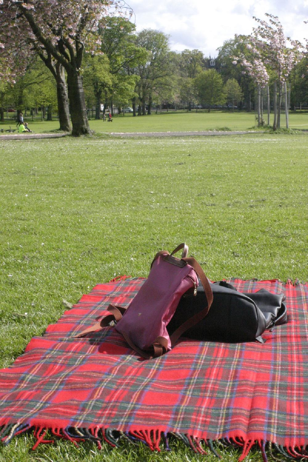 clan Essential Tartan Rug