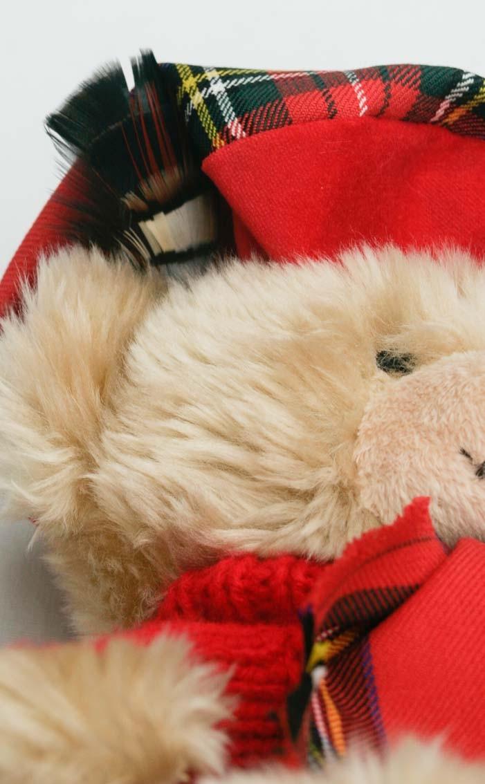 Clan Hamish The Teddy Bear