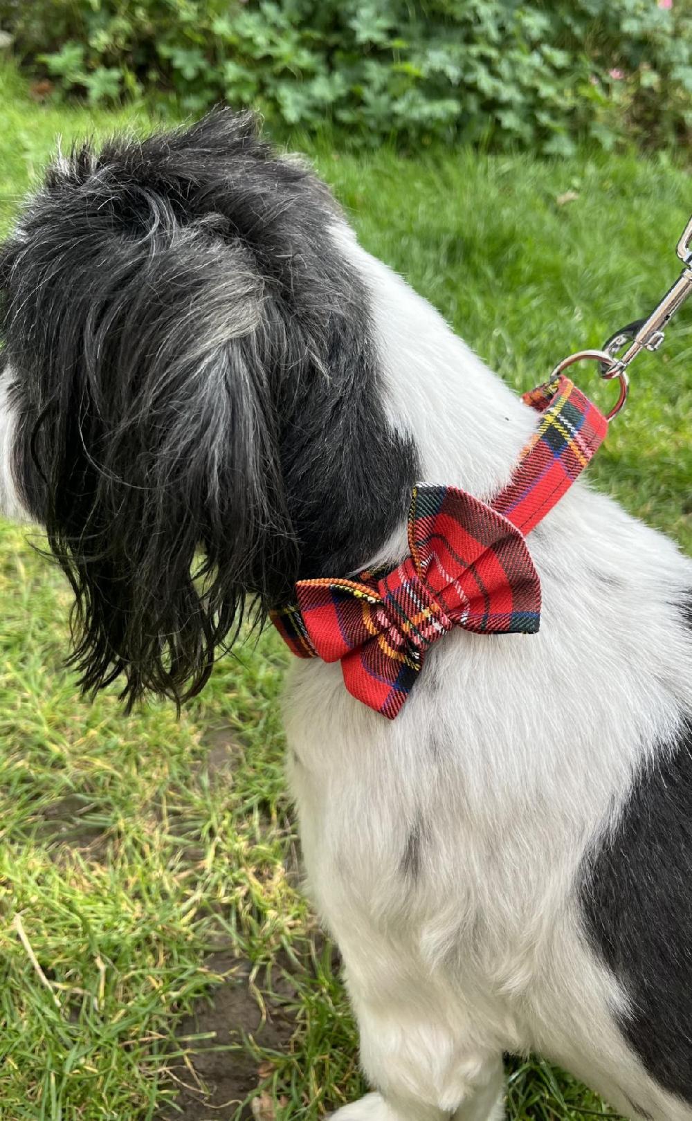 clan Handmade Tartan Dog Bow Tie