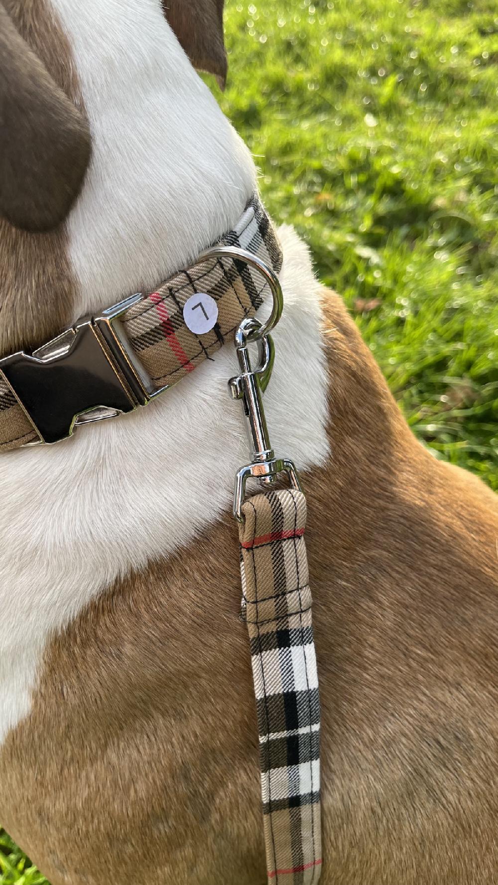 Clan Handmade Tartan Dog Collar