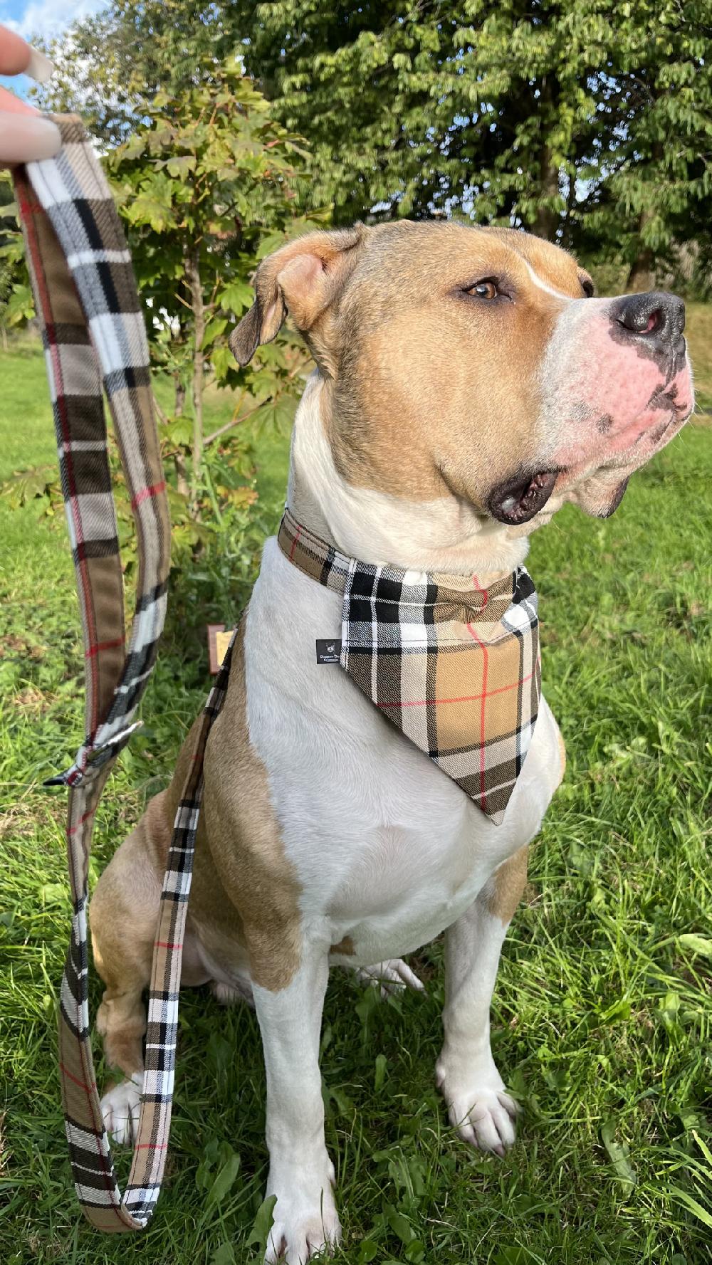 Clan Handmade Tartan Dog Lead
