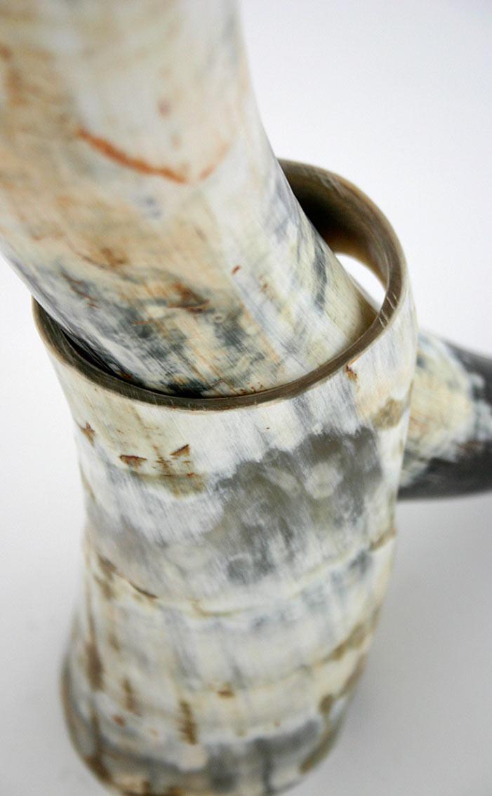 Clan Rough Drinking Horn With Stand