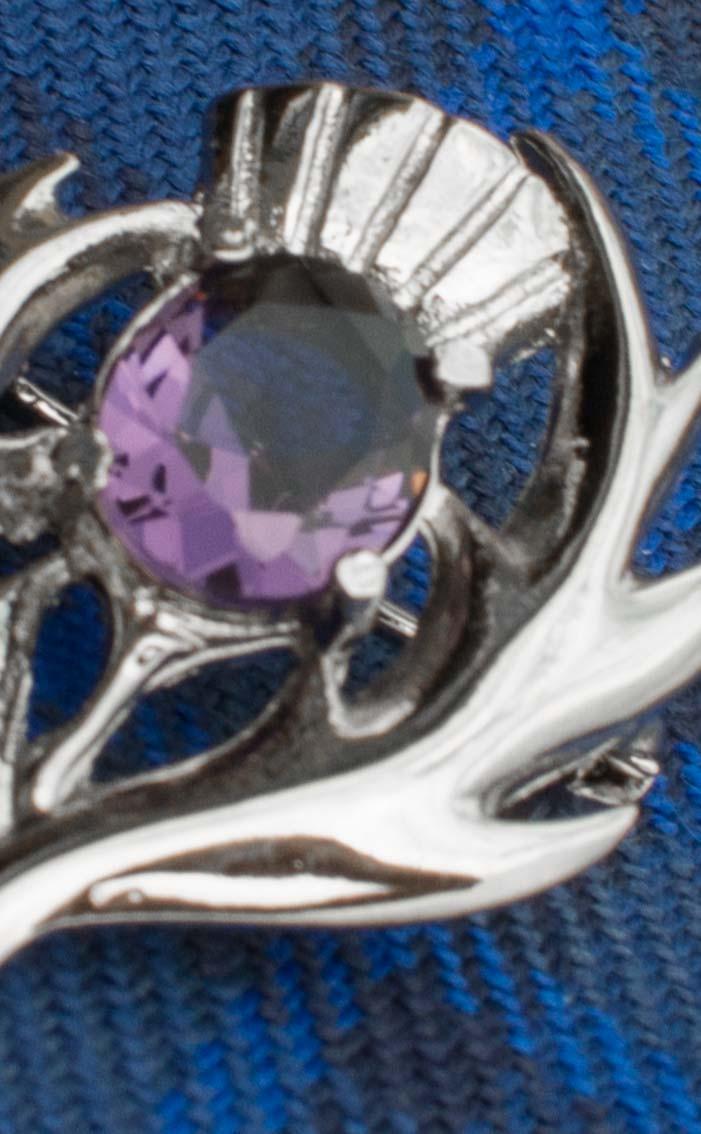 Clan Scottish Jewelled Thistle Brooch