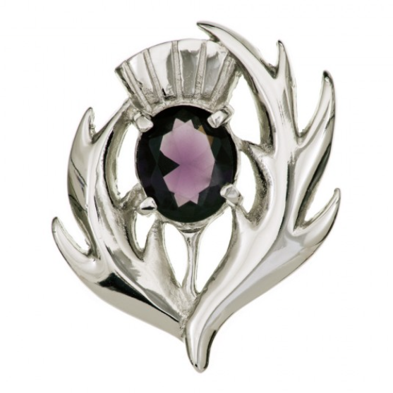 clan Scottish Jewelled Thistle Brooch