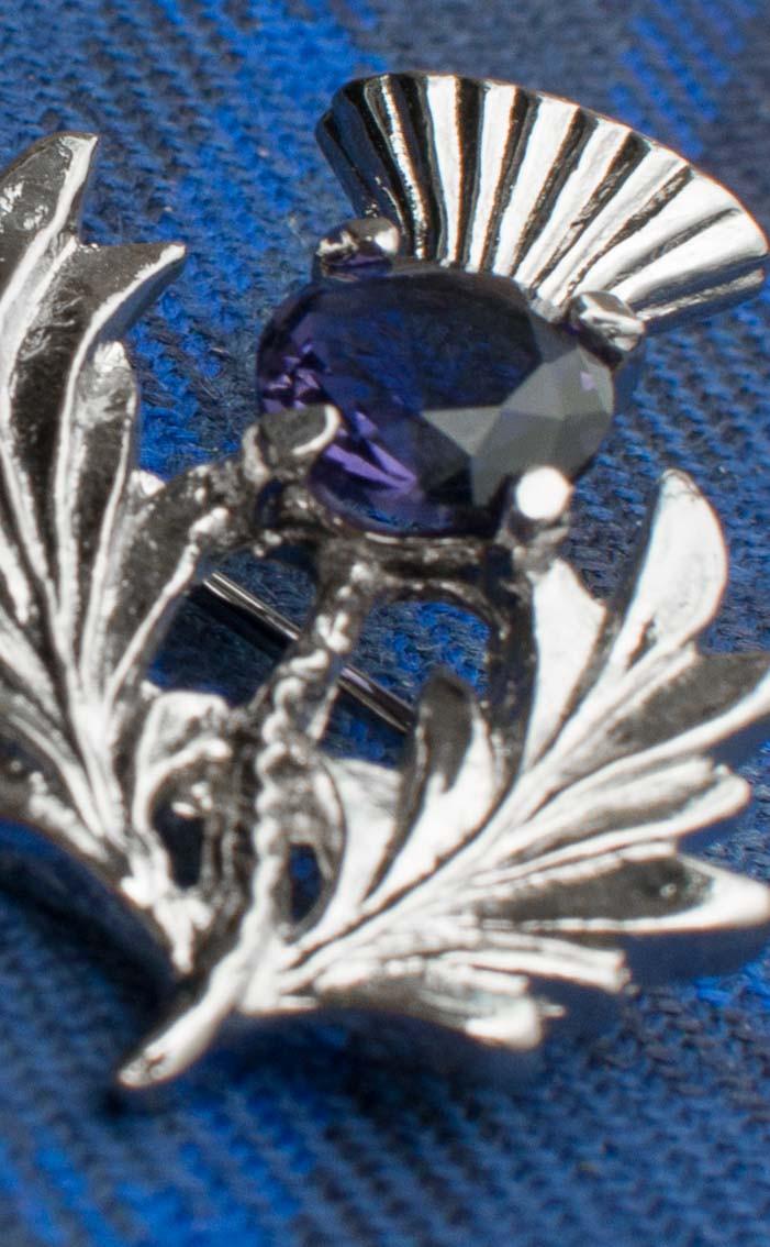 Clan Scottish Thistle With Jewel (Large) Brooch
