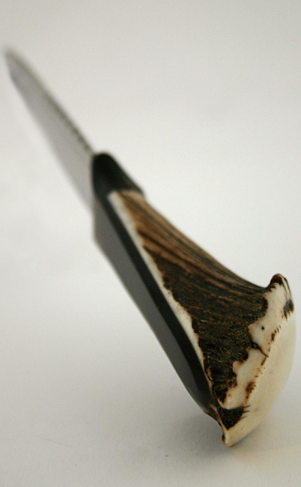 Clan Stag Antler Sgian Dubh Daywear Style