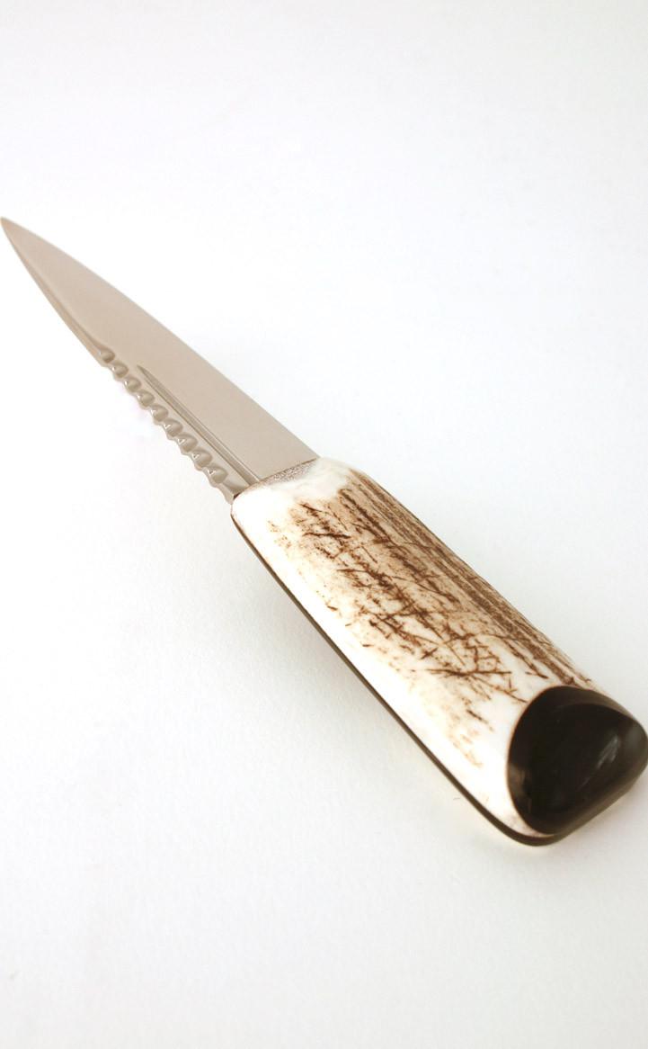 clan Stag Antler Sgian Dubh horn cap