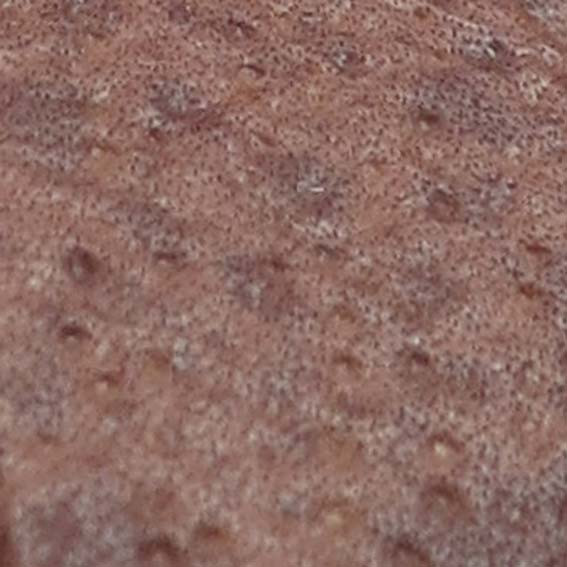 Clan Studded Daywear Sporran