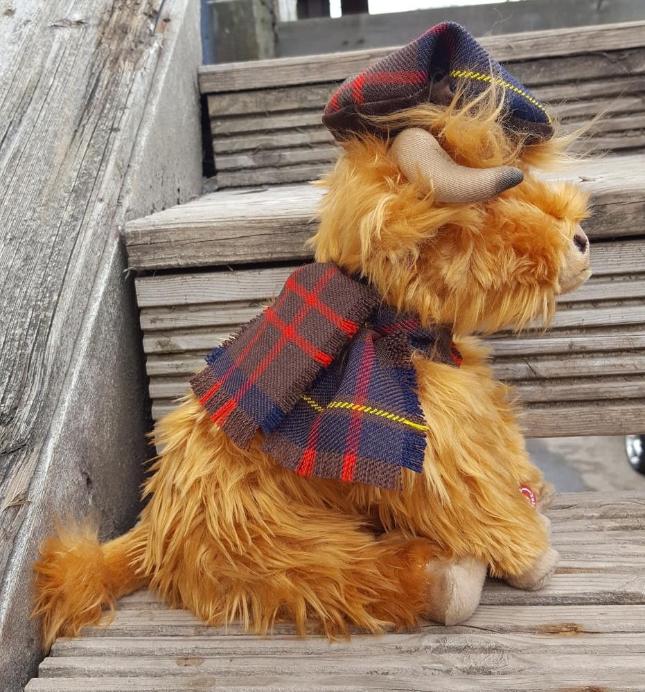 Clan Thistle The Big Highland Cow