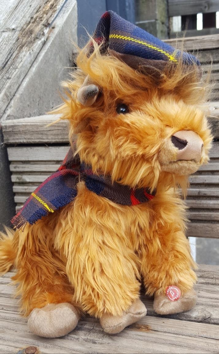 clan Thistle the Big Highland Cow