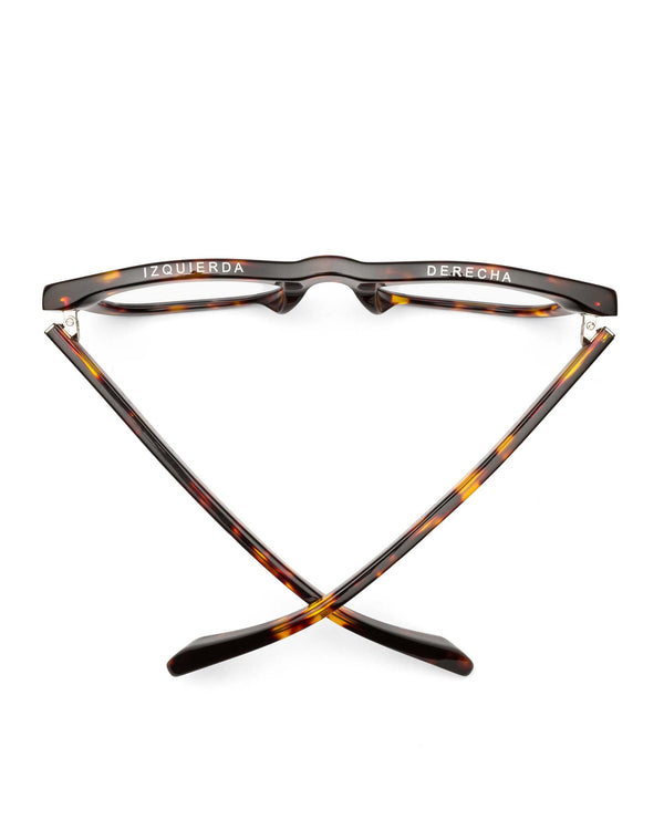 Clare Vivier D28 Readers Turtle / 0.00