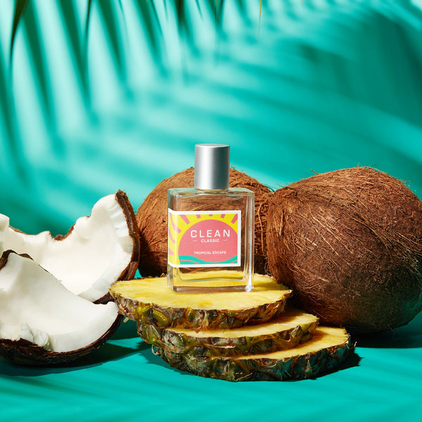 Clean Tropical Escape