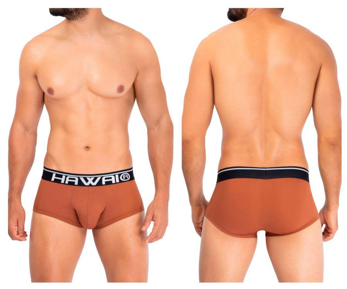 clever moda HAWAI 42181 Solid Microfiber Briefs Color Amber
