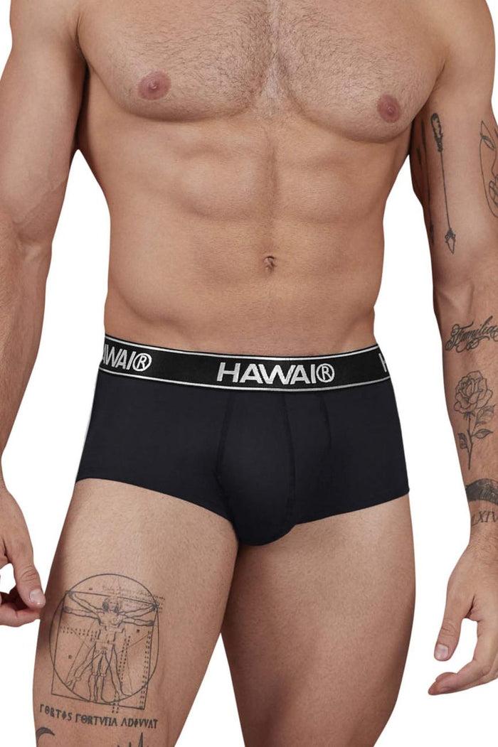 Clever Moda HAWAIR 41961 Microfiber Briefs Color Black