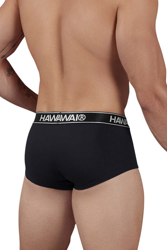 Clever Moda HAWAIR 41961 Microfiber Briefs Color Black