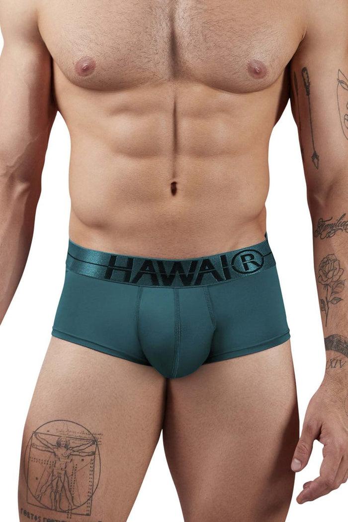 Clever Moda HAWAIR 41961 Microfiber Briefs Color Green